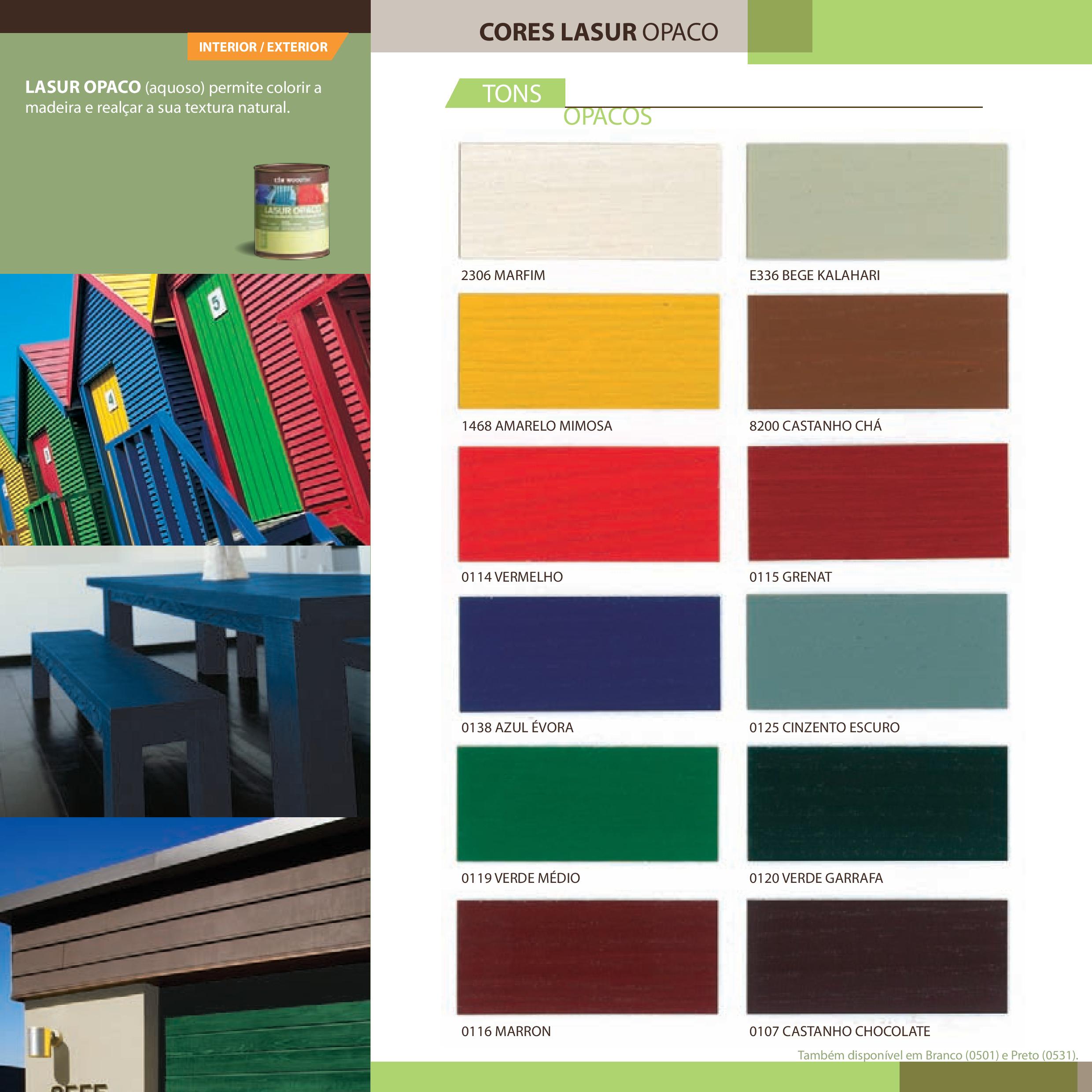 Capa catalogo cin interior